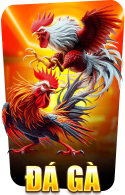 đá gà 13winc
